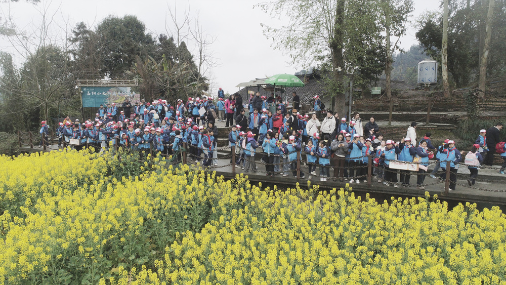DJI_0604.jpg